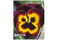 Виола биколор - цветы, 0,1 г семян, ТМ Семена Украины фото, цена
